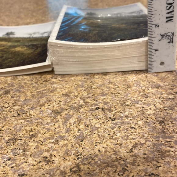 Owl’s Head Light Blank Note or Greeting Cards Martin S. Shuer Photographer Maine - Picture 8 of 12